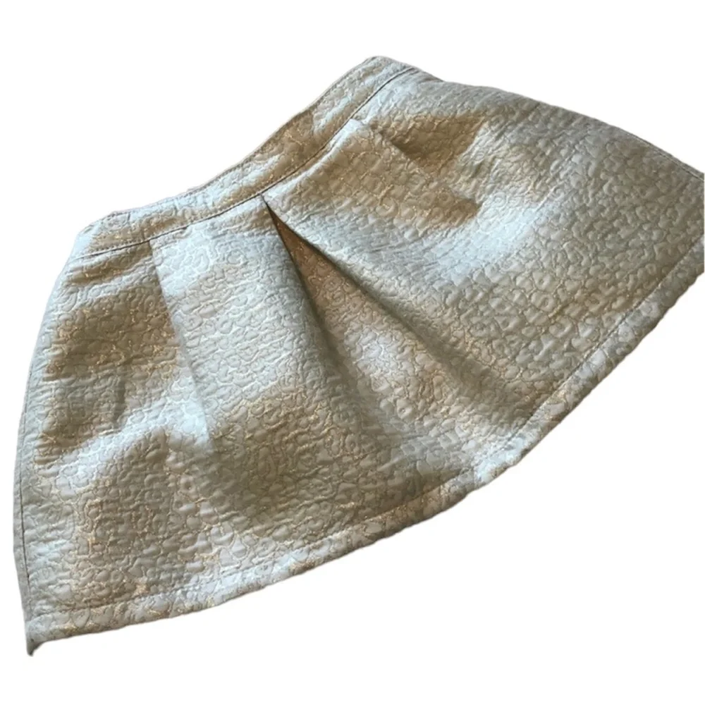 Gymboree Skirt Jacquard Pleated Tulle Shimmer Champagne Cream NWOT Girls Size 4T
